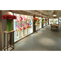 Showroom